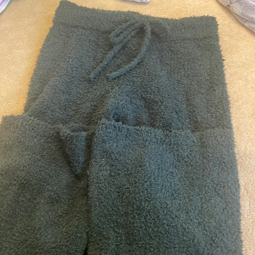 Aerie fuzzy green sweats